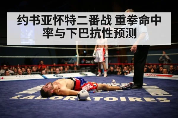 约书亚怀特二番战 重拳命中率与下巴抗性预测